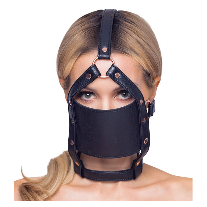 Head Harness With A Gag