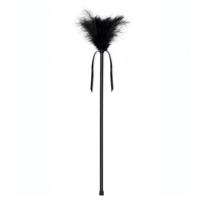 Plumero Plumas Negras