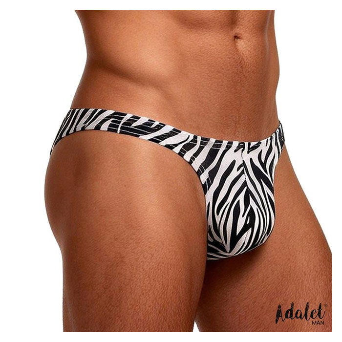 Zebra Dream